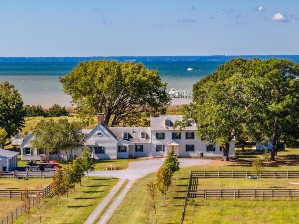 A Weekend Escape at an Alpaca Farm on Chesapeake Bay
