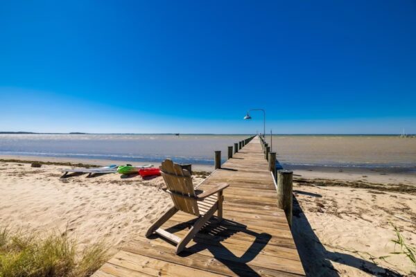 A Weekend Escape at an Alpaca Farm on Chesapeake Bay - Image 4
